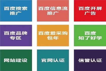SEM推广公司案例：打造行业领军品牌